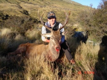 Trophy deer